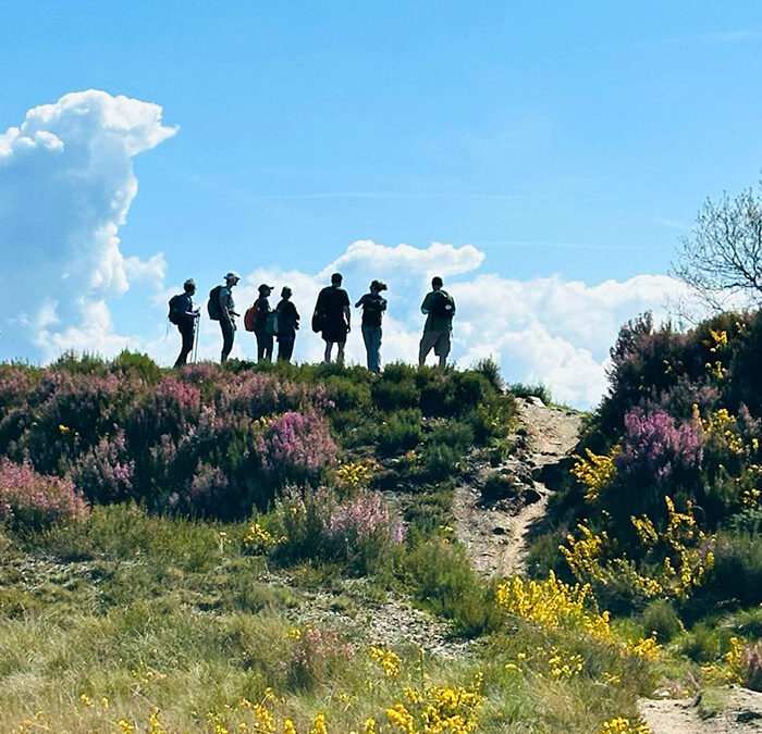 Camino Long Walk