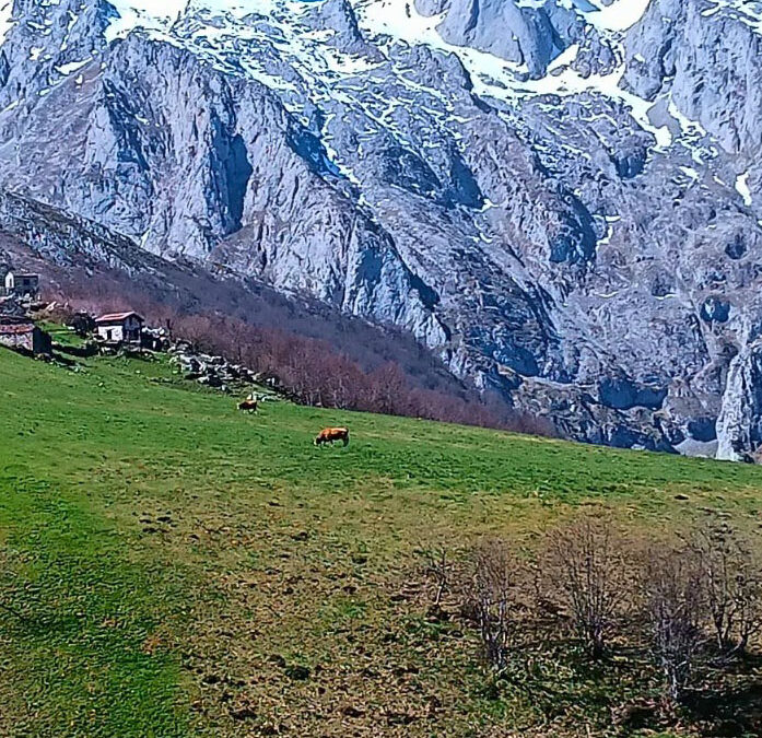 Picos de Europa